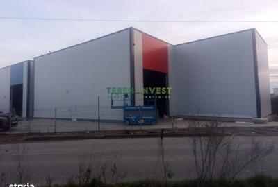 Spațiu comercial, de 242 mp, în Cernica - 11