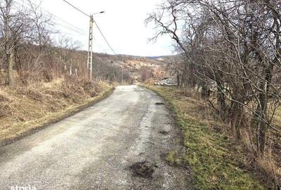 Teren de 3800 mp, în Mirșid - 6