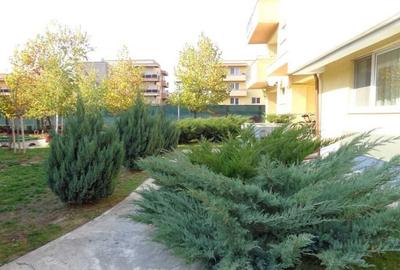 Apartament cu 2 camere decomandat, mobilat în Băneasa - 5