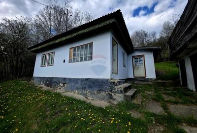 Teren intravilan de 711 mp, în Hangu - 8