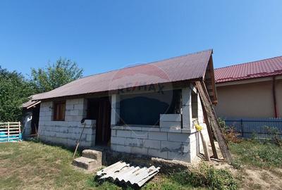 Casa Batraneasca Urechesti - 5