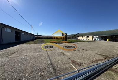 Spațiu industrial, de 450 mp, în Buhoci - 26