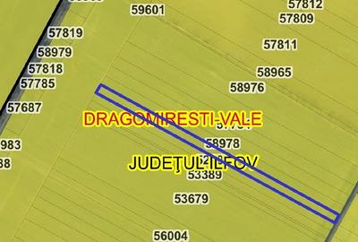 Teren de 3848 mp, în Dragomirești-Vale - 3