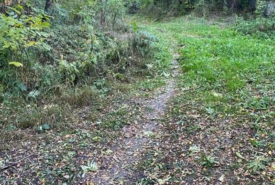 Spațiu comercial, în Nistorești - 5