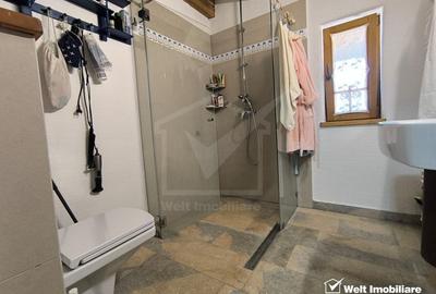 Casa rustica, exclusivista, 5 camere, 170 mp utili, 550 mp teren, Salicea - 21