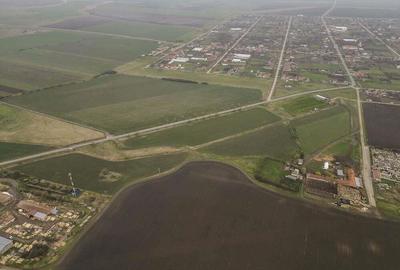 Teren 76.000mp intre Santana ?i Caporal Alexa - 3