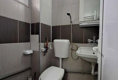 Garsonieră în Pantelimon - 4