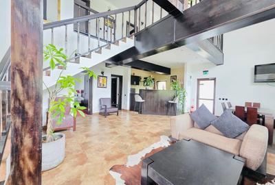 Oportunitate de investitie in turism - Pensiunea Contele Vladimir - 3