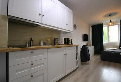 Garsoniera zona Lipovei, pet-friendly. - 1