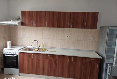 Apartament cu 2 camere, mobilat în Buziașului - 6