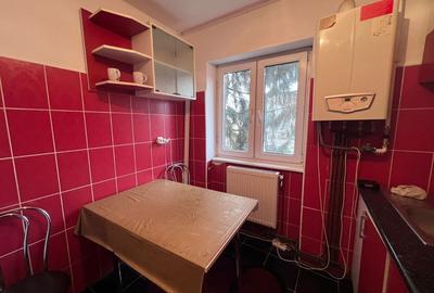 Apartament cu 2 camere semidecomandat în Gojdu - 9