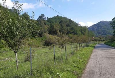 Teren de 7000 mp, în Voia - 3