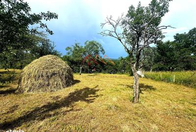 Spațiu comercial, în Răgman - 7
