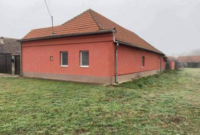 Casa de vanzare in Hodoni jud Timis Casa de vanzare in Hodoni jud Timis - 10