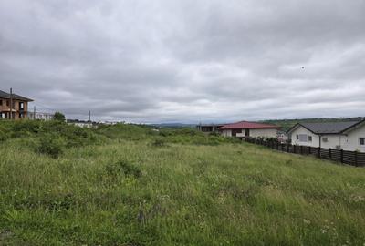 Teren de 470 mp, în Vișan - 1