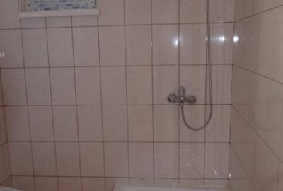 Casa individuala cu teren zona Paltinis - 20