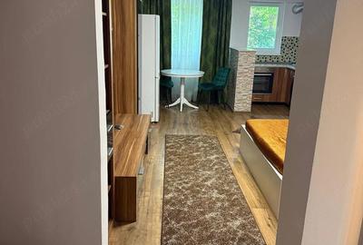 Garsonieră decomandată în Gorjului - 2