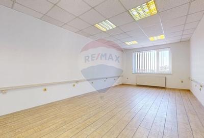 Birouri de inchiriat in Brasov, Centrul Civic, cladire de birouri - 17