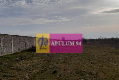 Parcela langa padure in Ilfov - 2