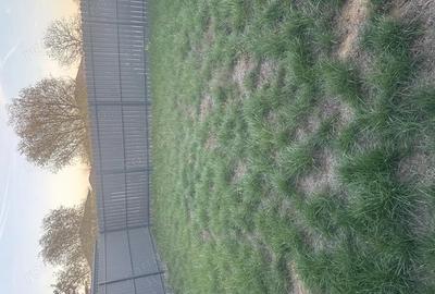 Casă cu 3 camere în Giroc