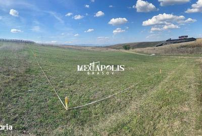 Spațiu comercial, în Bod - 2