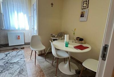 Apartament cu 3 camere decomandat, mobilat în Iosefin - 9
