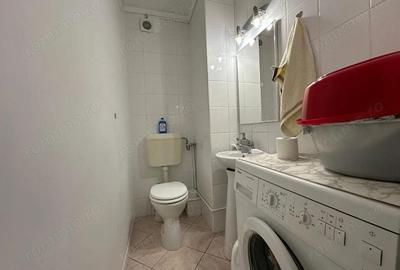 Apartament cu 3 camere decomandat, mobilat în Lipovei - 11