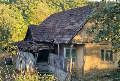 Casă cu 3 camere în Căpruța - 6