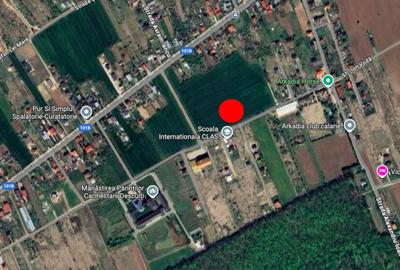 Snagov- Ciofliceni, loturi de casa intre 504-670mp, ?erba - 2