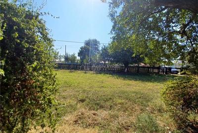 Casa Bila Ghimpati- Giurgiu - 3