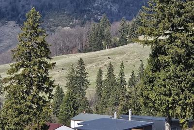 Spațiu comercial, în Dâmbovicioara - 2