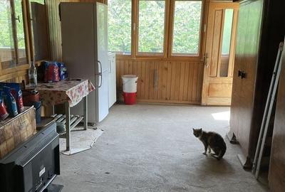 Casă cu 4 camere în Coman - 4