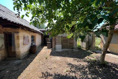 Casa in Pomi cu acoperis nou, Jud. Satu Mare - 3