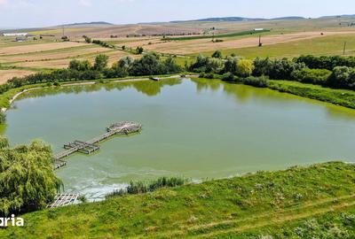 Teren de 31500 mp, în Negrești - 8