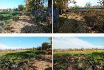 Teren Ungheni, ID: R2832820 - 8