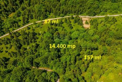 Teren de 14400 mp, în Cheile Râșnoavei - 2