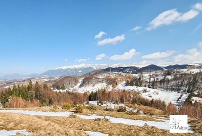 Teren Construcții extravilan de 150000 mp, în Șirnea