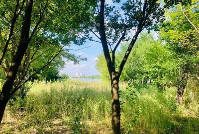 2066 mp teren deschidere lacul Grivita 24m zona deosebita in Damaroaia - 5