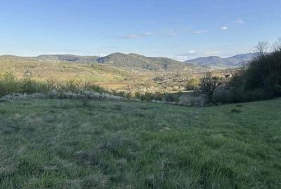 Teren de 4309 mp, în Căinelu de Jos - 3