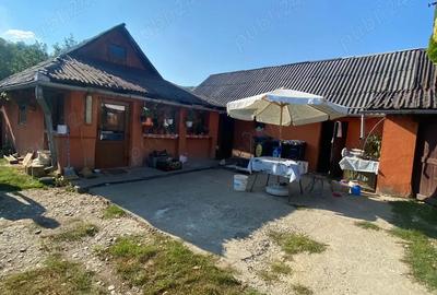 Vand casa comuna Chiuiesti Vand casa comuna Chiuiesti - 9
