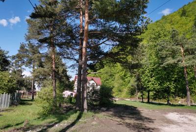 Teren rezidential Bunloc zona de case - 8