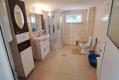 Vand casa de locuit Sp+P+E cu anexe gospodaresti in sat Caldarasti, com.Pogoanele, Buzau - 1