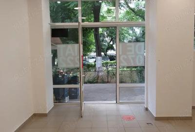 Inchiriere Spa?iu Comercial, 46 mp in Teiul Doamnei - 1