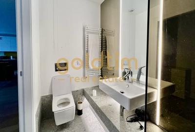 AVIAȚIEI/PARCARE SUBTERANA /SPATII GENEROASE /VIEW/PROMENADA MALL - 12