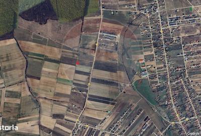 Spațiu comercial, în Cihei