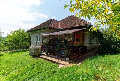 Casă individuală cu 3 camere cu Teren 9995 Mp în Ormindea - 2