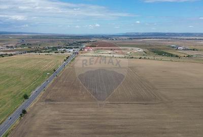 Teren Tisita/ DN2 E85 2.75 ha - 1