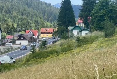 Teren de 9975 mp, în Predeal - 1