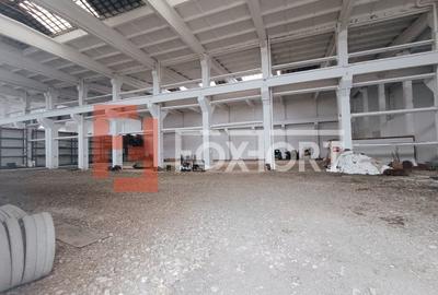 Spațiu industrial, 2200 mp în Șagului