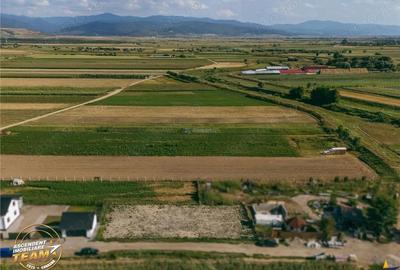 FILM! Teren intravilan, aliniament apreciabil,741mp,Targu Secuiesc - 6